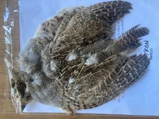 Chevron hackles grey for sale  LLANFAIRPWLLGWYNGYLL