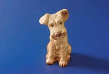 Gorgeous sylvac dog for sale  NEWQUAY