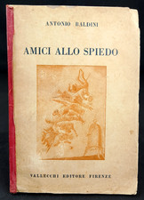 Amici allo spiedo usato  Torino