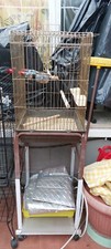 Gabbia per uccelli usato  Roma