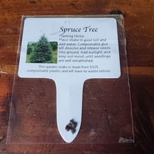 Blue spruce seed for sale  Lancaster