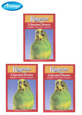 Kagesan red bird for sale  CHORLEY
