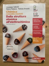 Libro chimica concetti usato  Serrapetrona