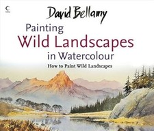 David bellamys painting for sale  UK