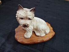 Westie highland terrier for sale  ASHFORD