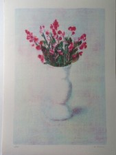 Antonio bueno litografia usato  Fucecchio