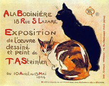 Bodiniere steinlen cat gebraucht kaufen Bodiniere steinlen cat gebraucht kaufen  Grabenstätt
