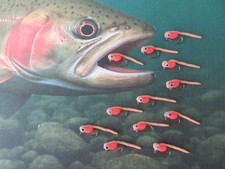 Steelhead trout salmon for sale  Point Roberts