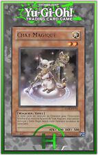 Chat magique anpr d'occasion  Génissieux