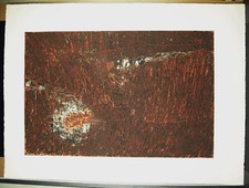 Eva Renee Nele (1932) Estampa Original Firmada Arte Abstracto Berlin Zúrich comprar usado  Enviando para Brazil