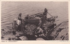 Groenlandia pesca angmagssat usato  Roma