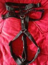 Anione hunde sicherheit gebraucht kaufen  Gütersloh