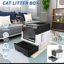 Large smart cat for sale  BIRMINGHAM