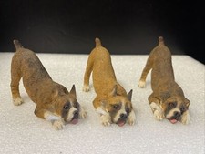 Sandicast boxer dog for sale  Pedricktown