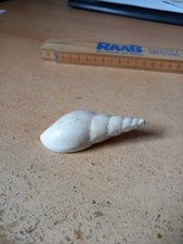 aquarium muschel gebraucht kaufen aquarium muschel gebraucht kaufen Bamberg