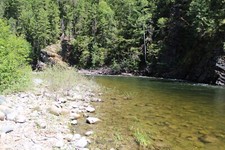 Phenom acre gold for sale  Prosser