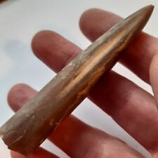 Belemnite beau fossile d'occasion  Senlis