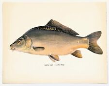 leather carp fishing books for sale leather carp fishing books for sale NORWICH