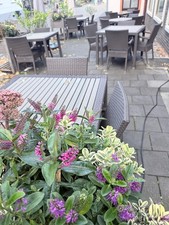 Terrassenmöbel set stühle gebraucht kaufen  Düsseldorf