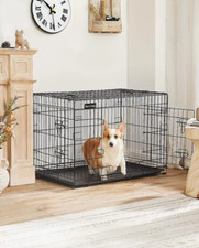 Feandrea dog puppy for sale  SHEFFIELD