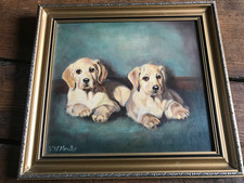 Golden labrador retriever for sale  BICESTER