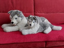 Steiff tiere husky gebraucht kaufen  Rastatt