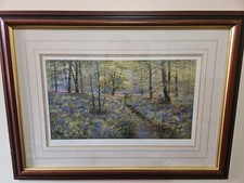 Bluebell glade bill for sale  LEEDS