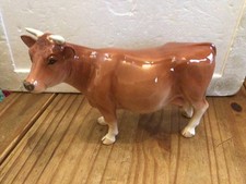 jersey cow for sale  DINGWALL