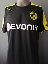 Borussia bvb dortmund gebraucht kaufen  Westerrönfeld