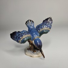 Beautiful kingfisher bird for sale  LOUTH