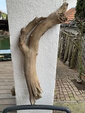 Treibholz wurzel extravagant gebraucht kaufen  Rheinmünster