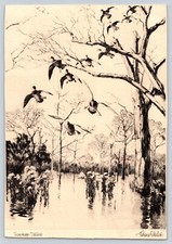 Etching mississippi mallard for sale  South English