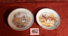 Wildlife britain squirrels for sale  MANSFIELD
