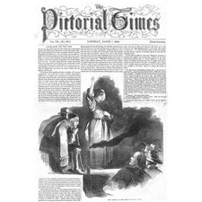 Shirrell heath polly for sale Shirrell heath polly for sale  GLASGOW