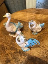 roosters ducks hens for sale roosters ducks hens for sale Clarks Summit
