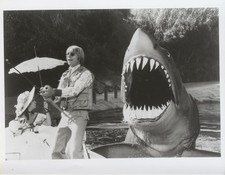 John denver joanne for sale  Laguna Beach