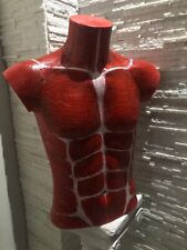 Manichino busto uomo usato  Italia