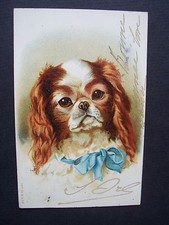 Cpa chien cavalier d'occasion  Combs-la-Ville