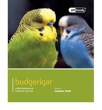 Budgerigarpet friendly budgeri for sale  UK