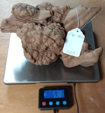 Manzanita burl root for sale  Saint Joseph