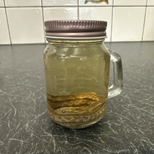 corn snakes for sale corn snakes for sale SELBY