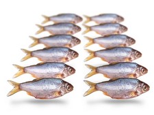 Köderfische rotauge güster gebraucht kaufen  Versand nach Germany