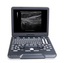 Siui apogee 1000 for sale  Renton