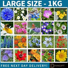 Wild flower seeds for sale  AYLESBURY
