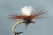 Mouche sèche klinkhamer d'occasion  Paris XII