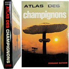 Atlas champignons 1977 d'occasion  Nogent-le-Roi
