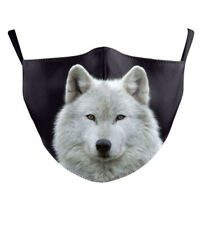 Husky dog wolf for sale  CHRISTCHURCH