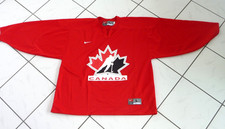 Nike eishockey trikot gebraucht kaufen  Reinbek