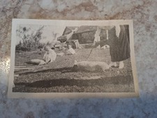 Vintage antique photograph for sale  Oconto Falls