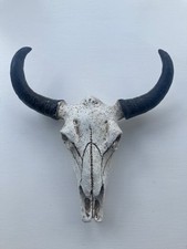 Resin skull wall for sale  SUTTON-IN-ASHFIELD